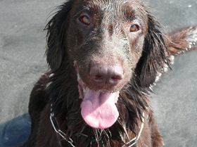 2008.8.28a.jpg